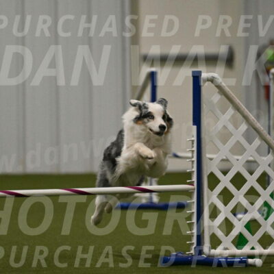 Sunny-Claudia-Brydon-09304