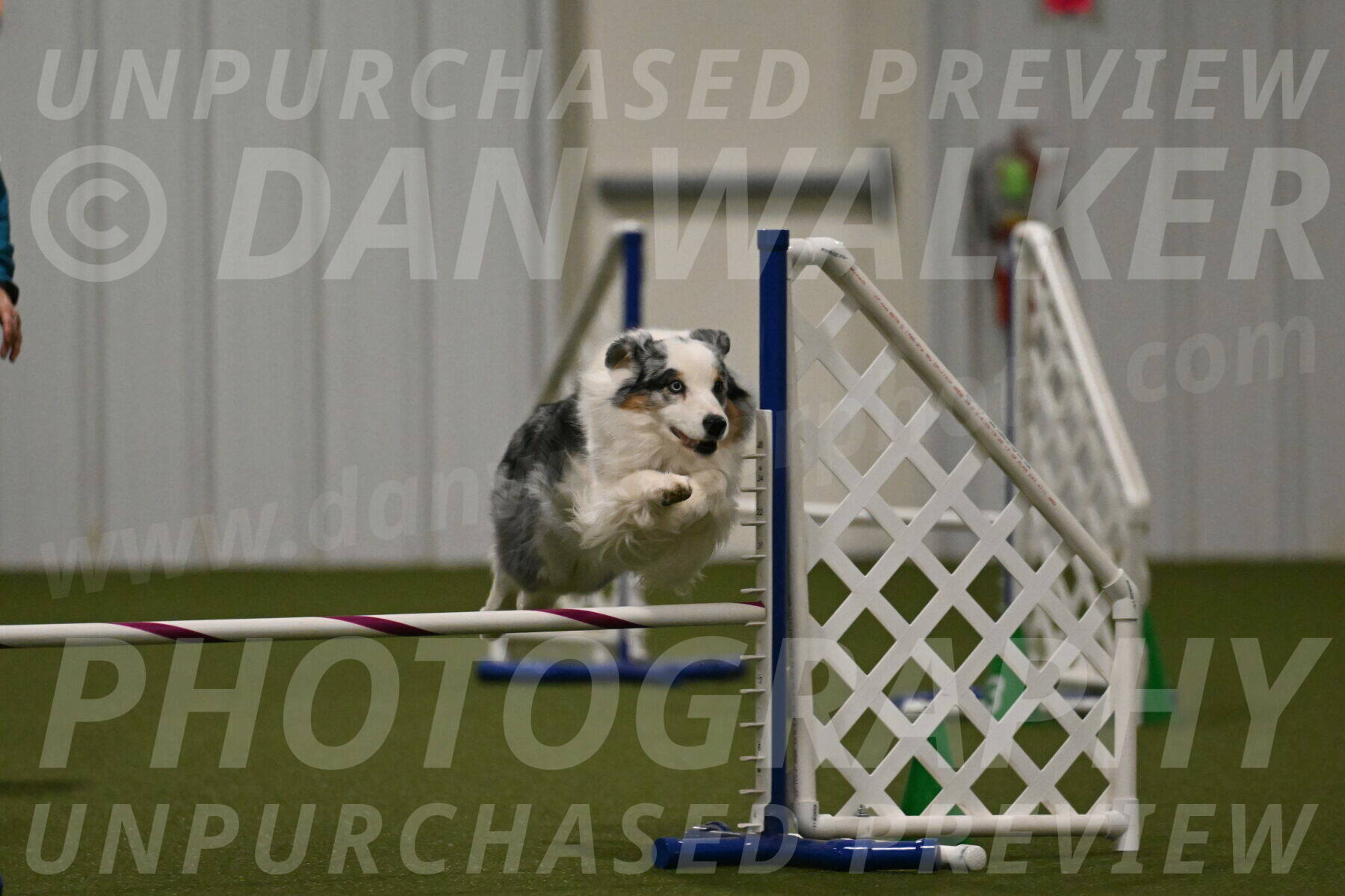 Sunny-Claudia-Brydon-09305