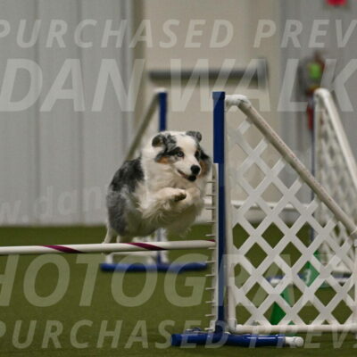 Sunny-Claudia-Brydon-09305