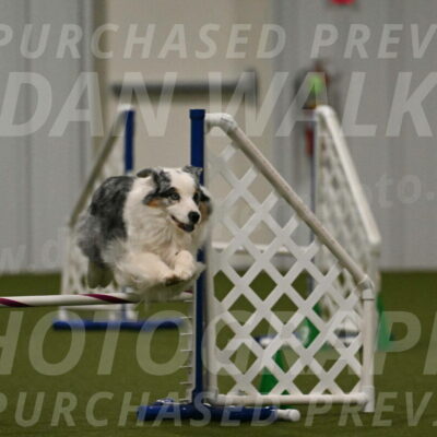 Sunny-Claudia-Brydon-09306