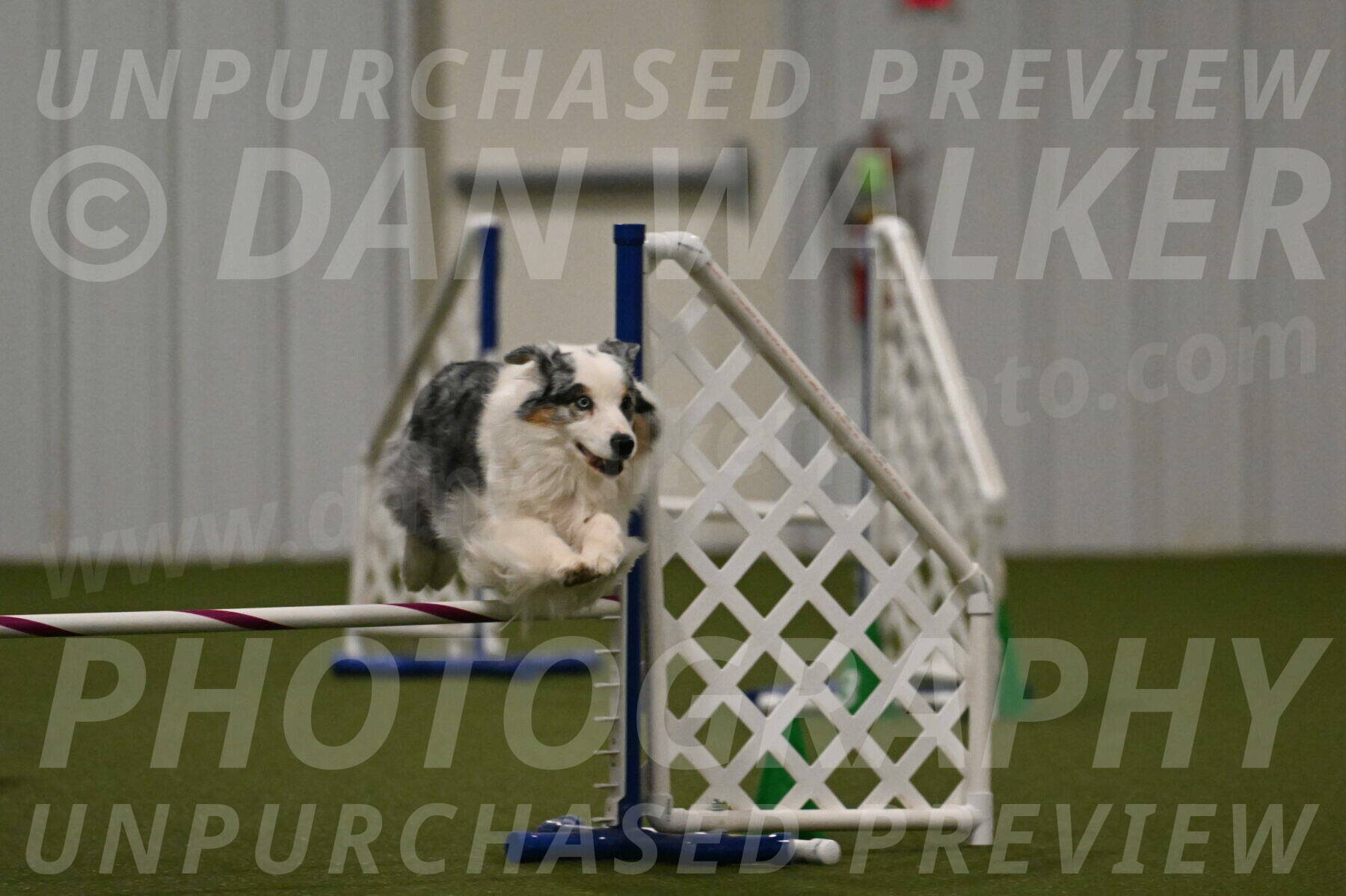 Sunny-Claudia-Brydon-09306