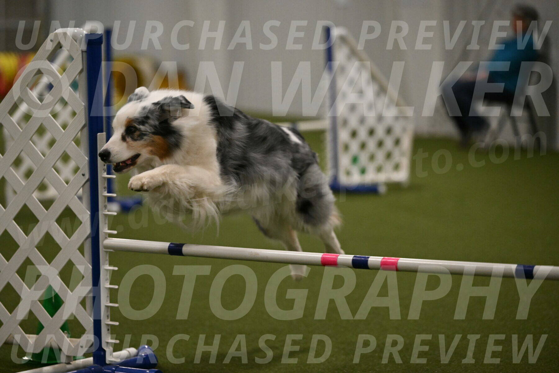 Sunny-Claudia-Brydon-09307