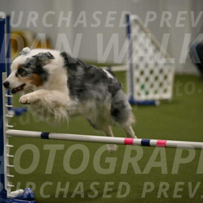 Sunny-Claudia-Brydon-09307