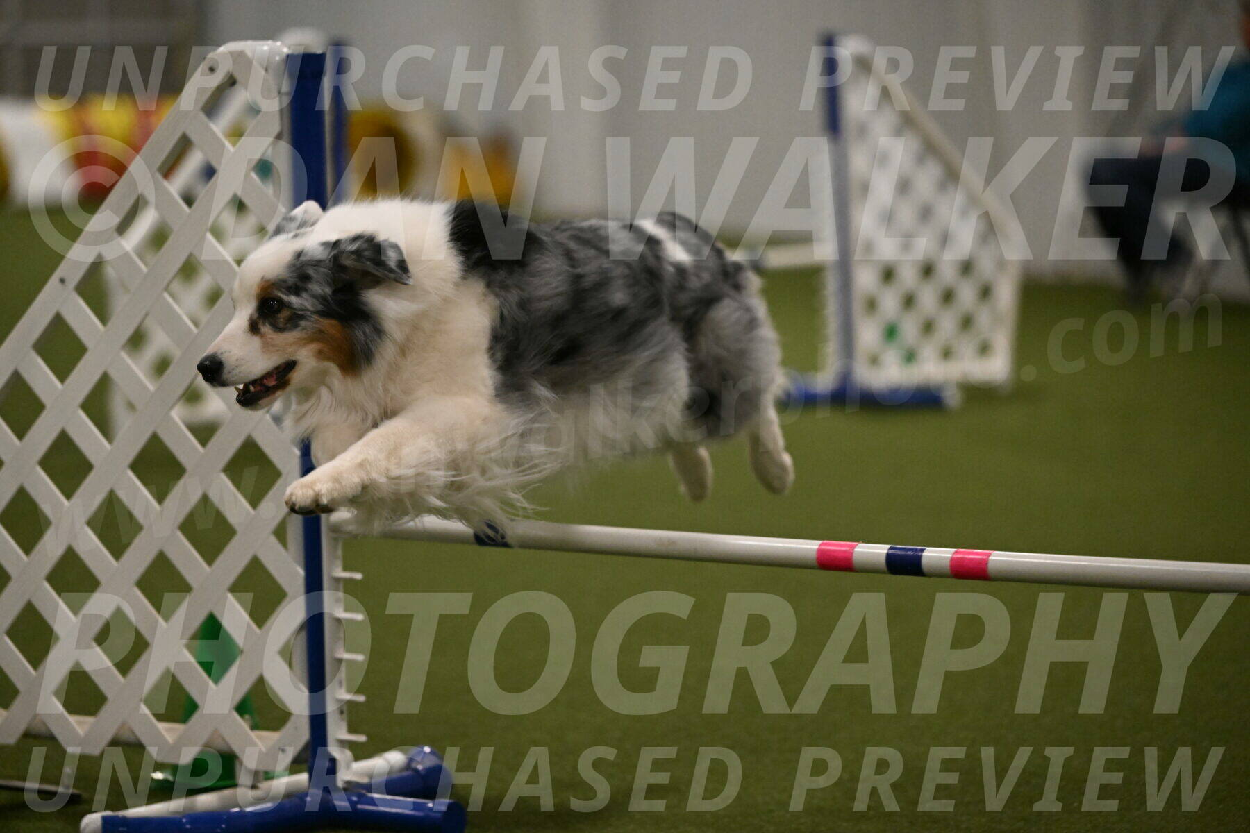 Sunny-Claudia-Brydon-09308