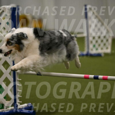 Sunny-Claudia-Brydon-09308