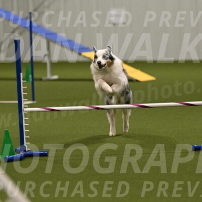 Sunny-Claudia-Brydon-09309