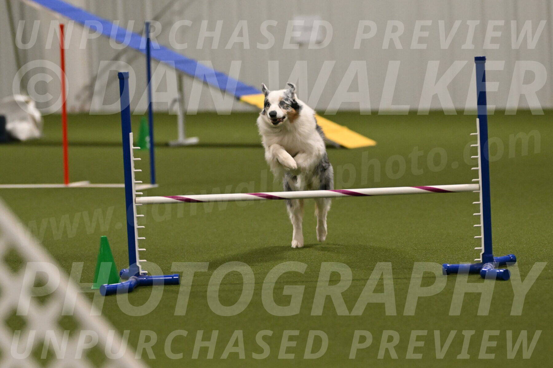 Sunny-Claudia-Brydon-09309