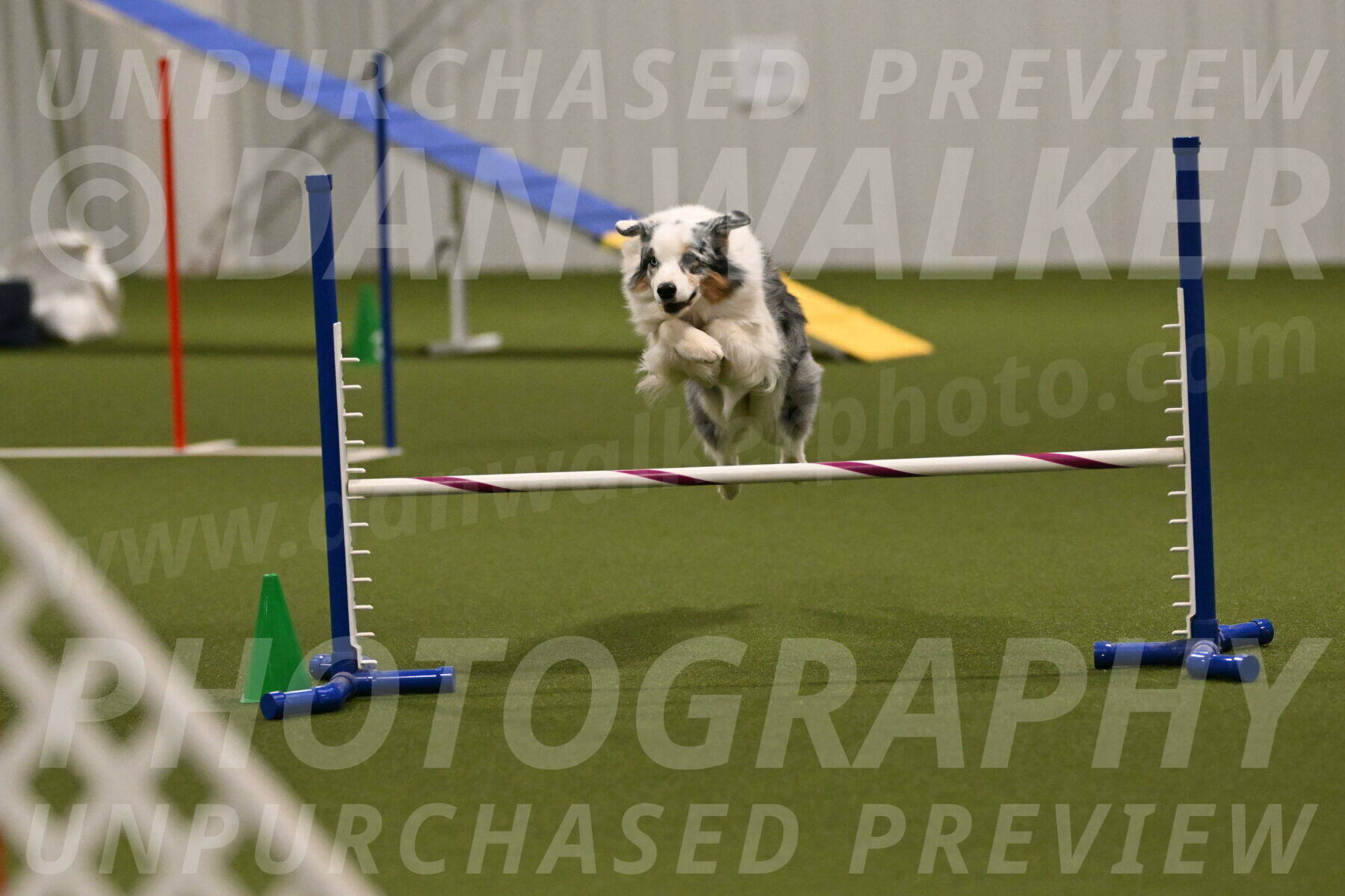 Sunny-Claudia-Brydon-09310