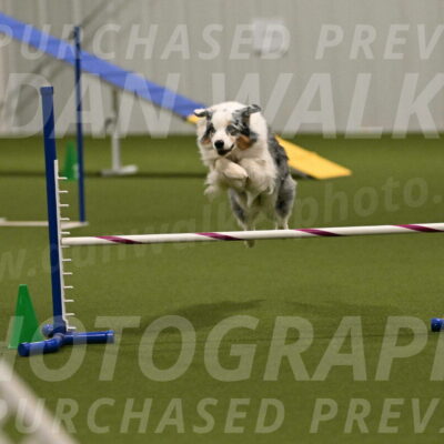 Sunny-Claudia-Brydon-09310