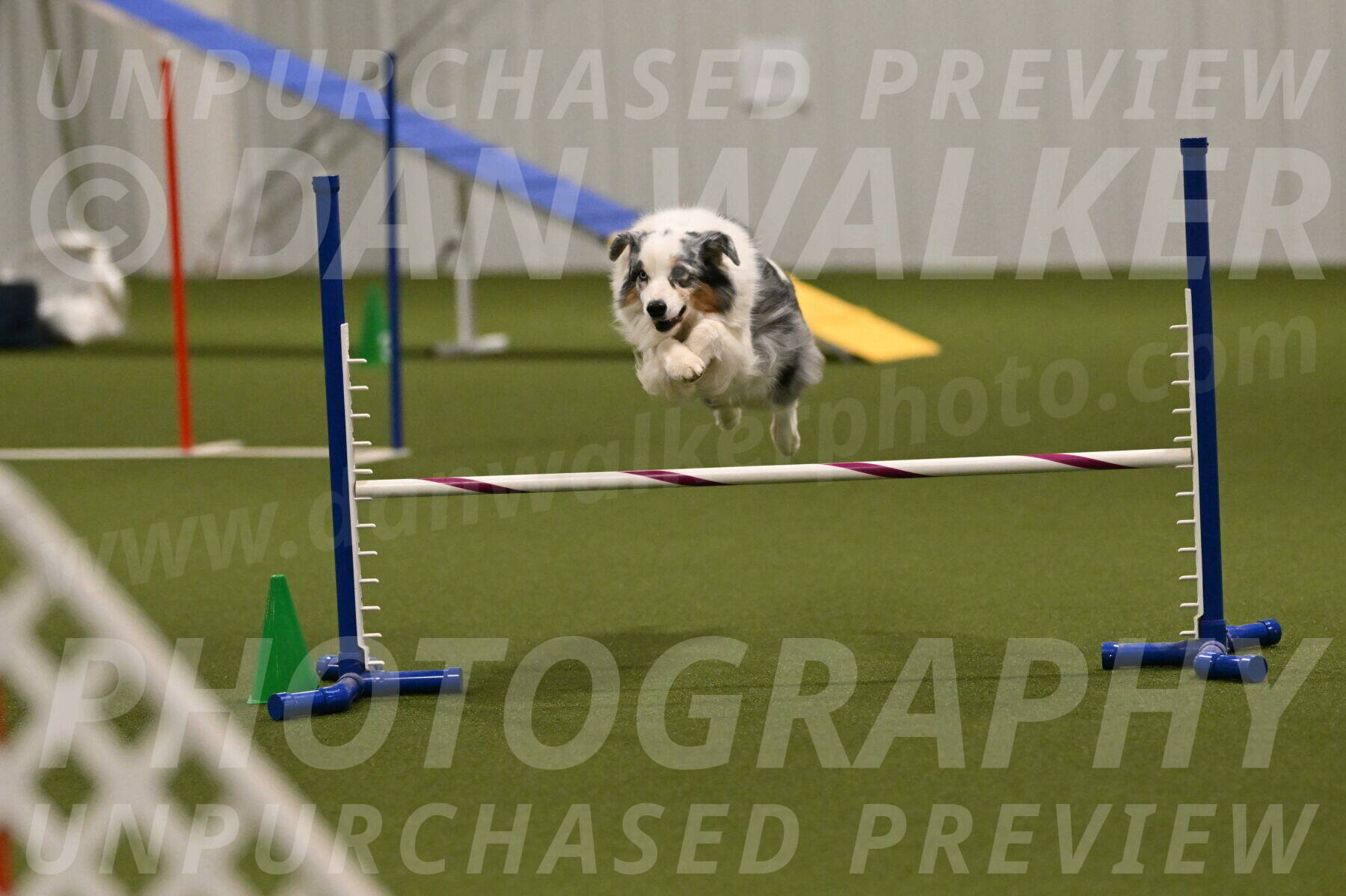 Sunny-Claudia-Brydon-09311