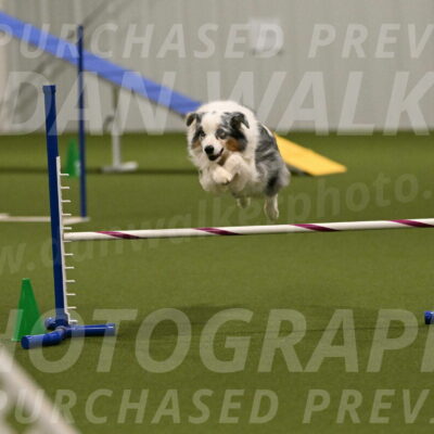 Sunny-Claudia-Brydon-09311