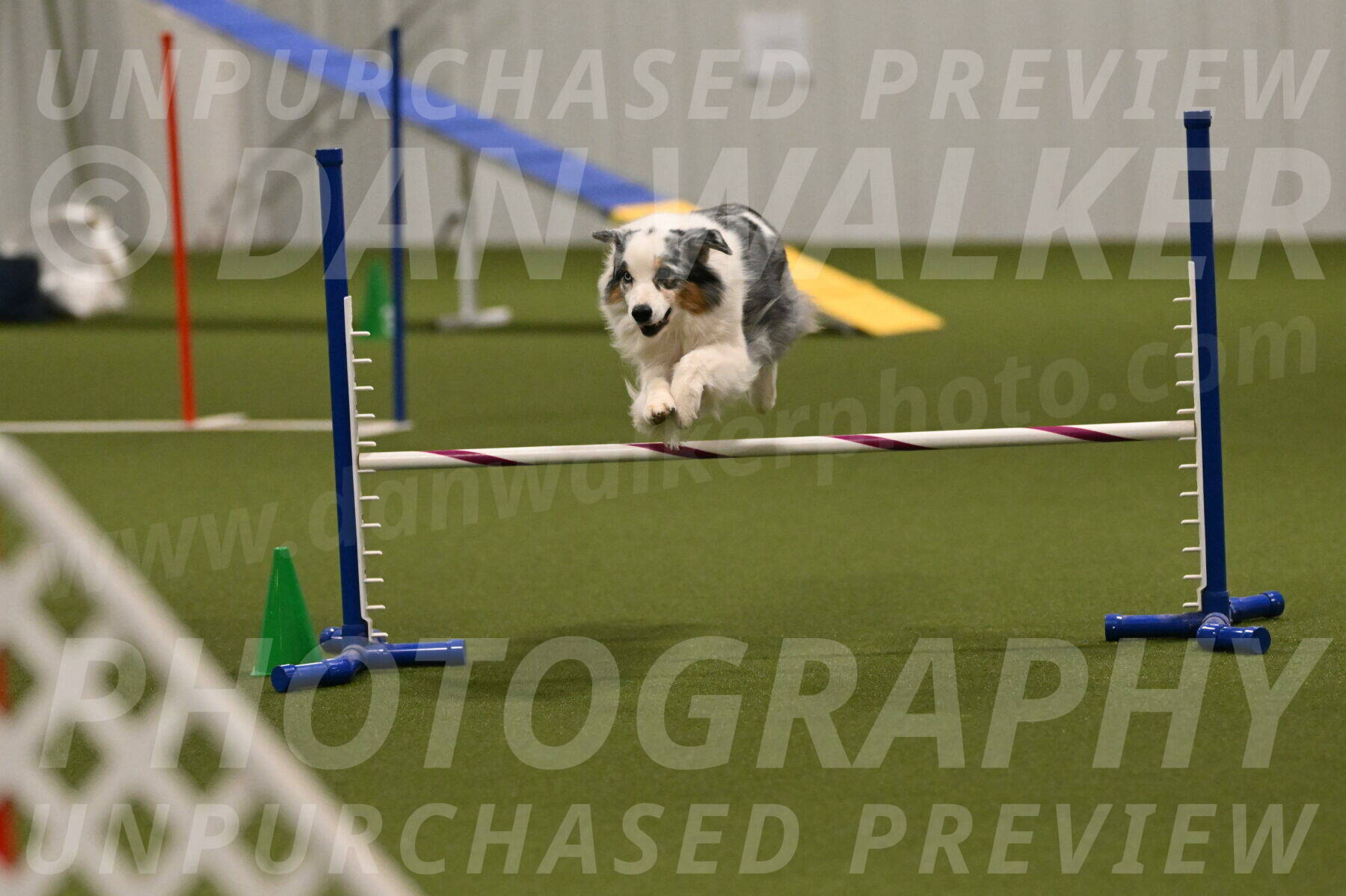 Sunny-Claudia-Brydon-09312