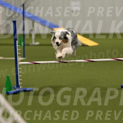 Sunny-Claudia-Brydon-09312