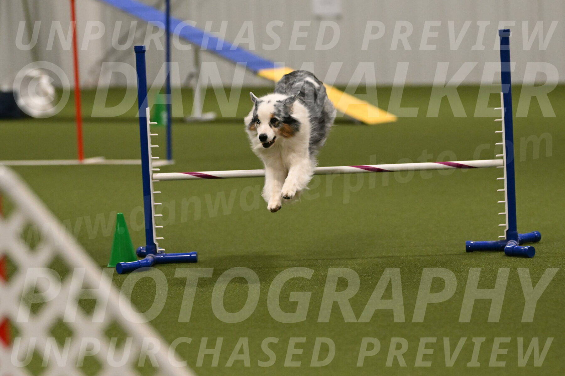 Sunny-Claudia-Brydon-09313