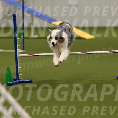 Sunny-Claudia-Brydon-09313