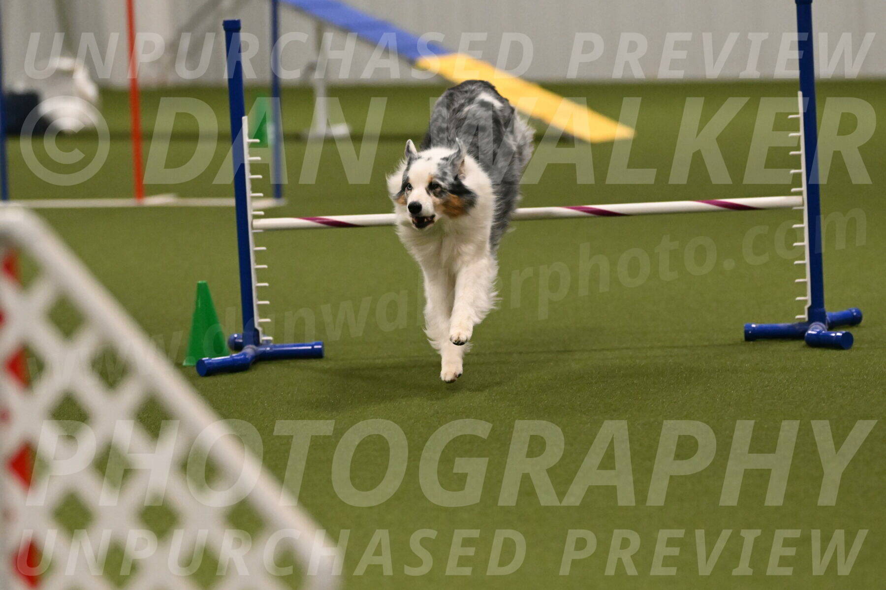 Sunny-Claudia-Brydon-09314