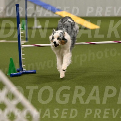 Sunny-Claudia-Brydon-09314