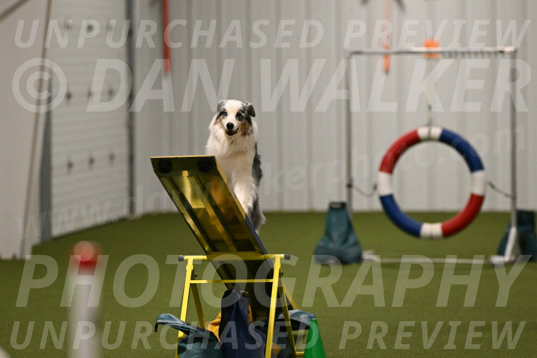 Sunny-Claudia-Brydon-09315