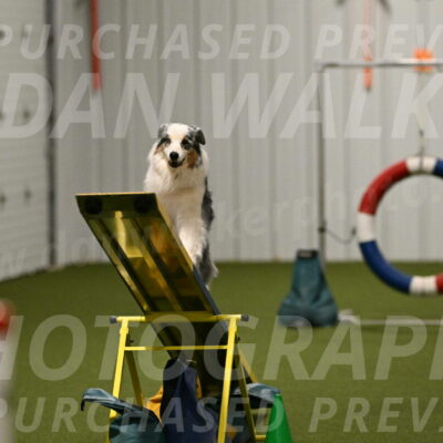 Sunny-Claudia-Brydon-09315