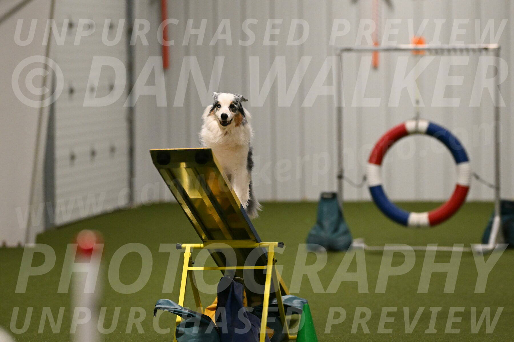 Sunny-Claudia-Brydon-09316