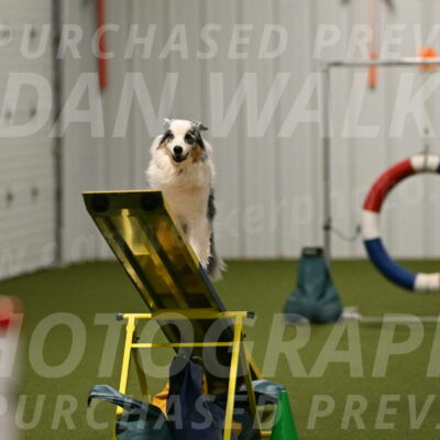 Sunny-Claudia-Brydon-09316