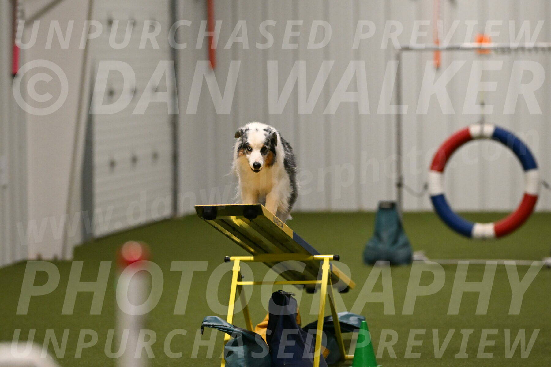 Sunny-Claudia-Brydon-09317