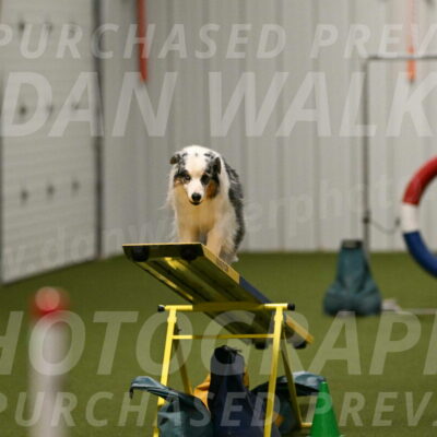 Sunny-Claudia-Brydon-09317