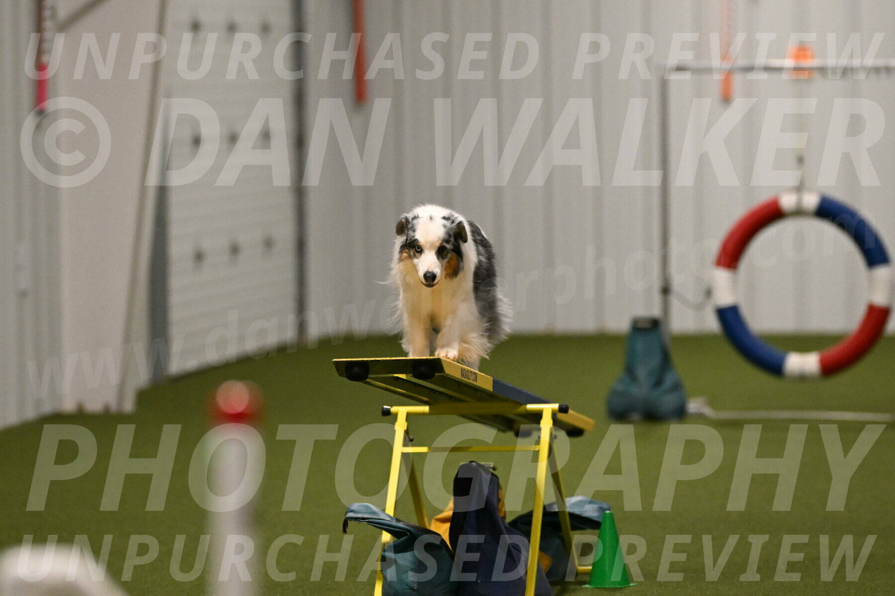 Sunny-Claudia-Brydon-09318