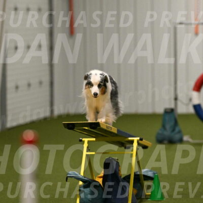 Sunny-Claudia-Brydon-09318