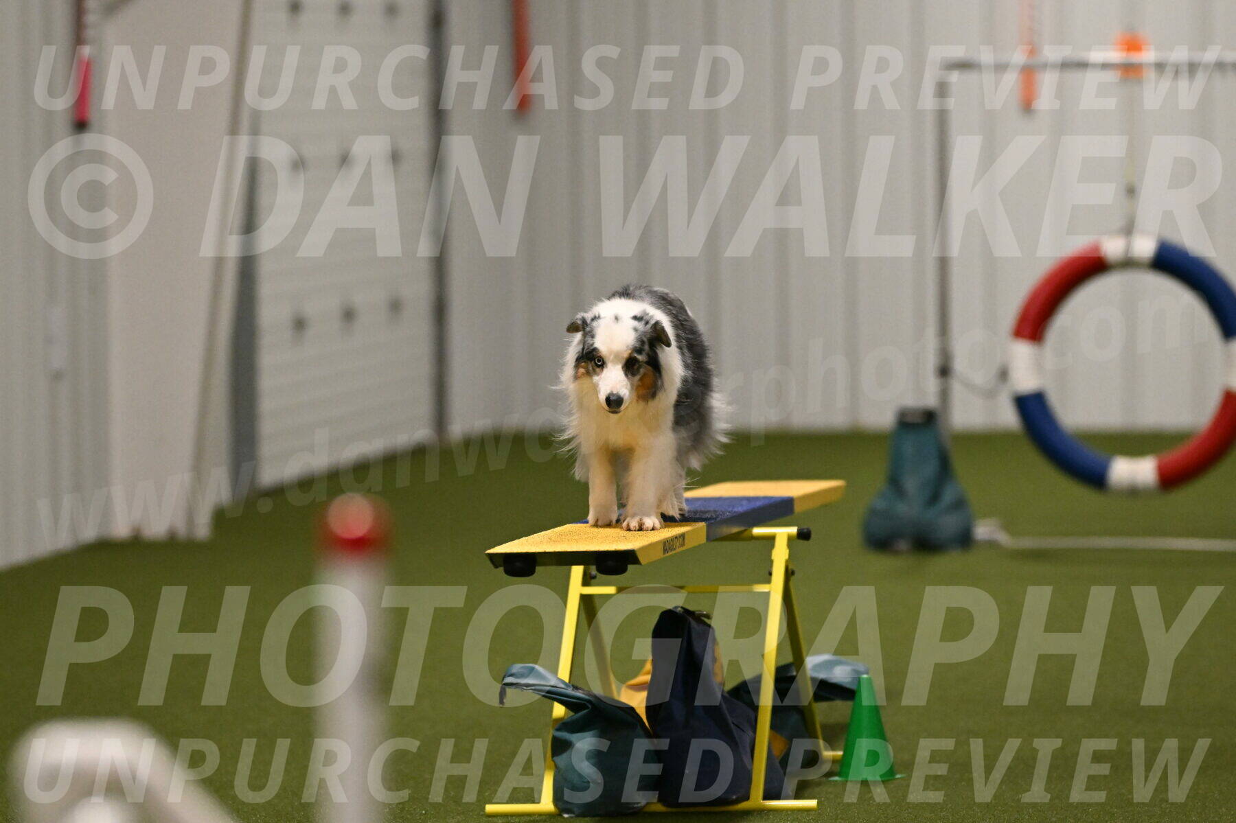 Sunny-Claudia-Brydon-09319