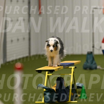 Sunny-Claudia-Brydon-09319