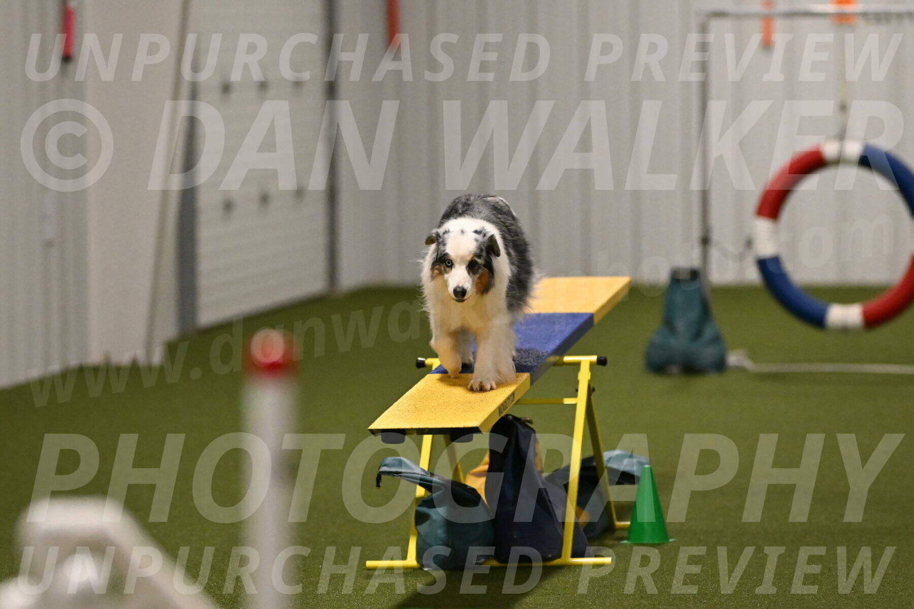 Sunny-Claudia-Brydon-09320