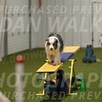 Sunny-Claudia-Brydon-09320