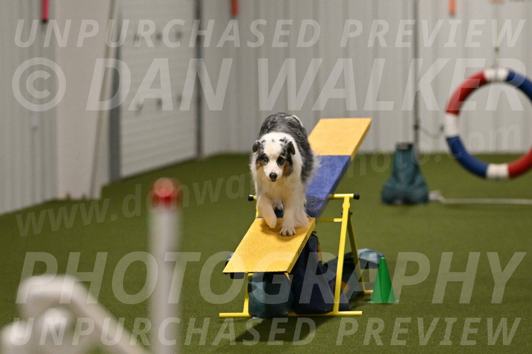 Sunny-Claudia-Brydon-09321