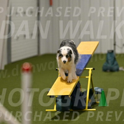 Sunny-Claudia-Brydon-09321