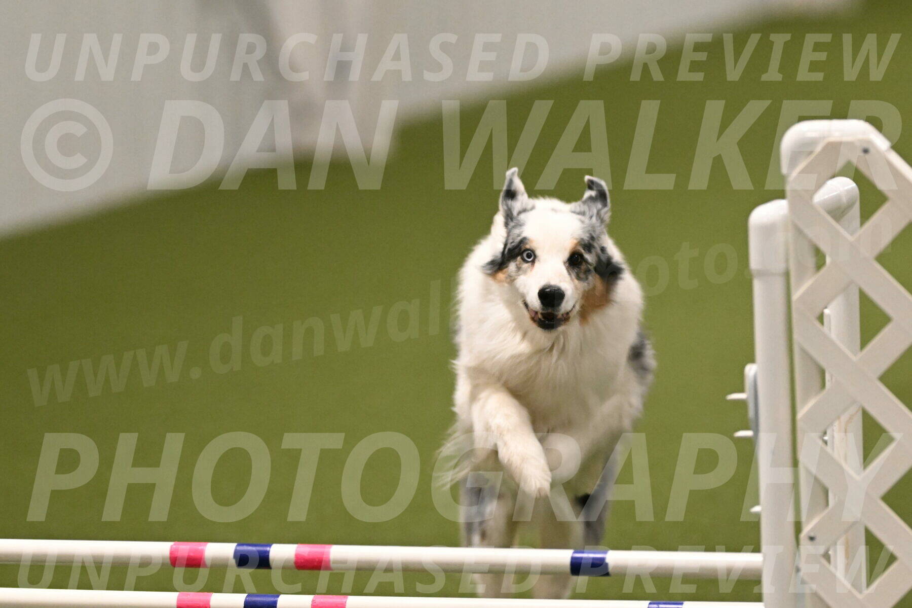 Sunny-Claudia-Brydon-09322