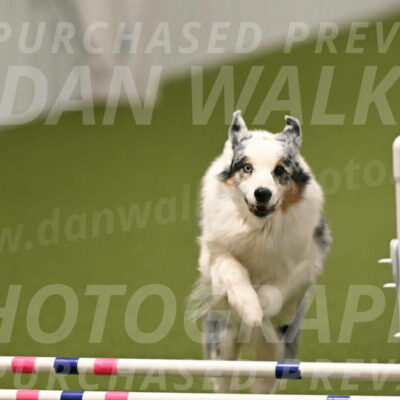 Sunny-Claudia-Brydon-09322