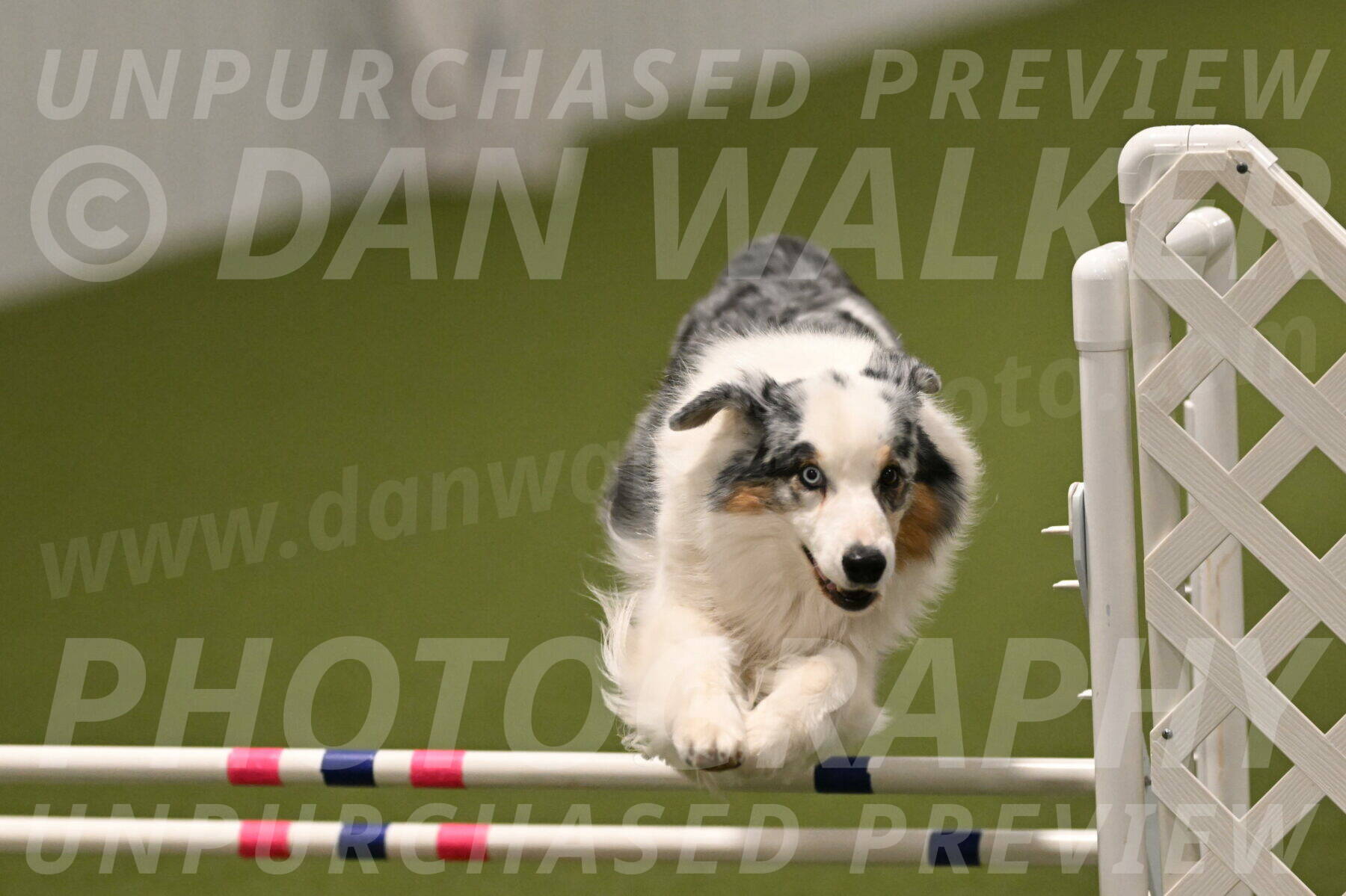 Sunny-Claudia-Brydon-09323