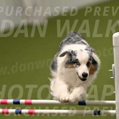 Sunny-Claudia-Brydon-09323