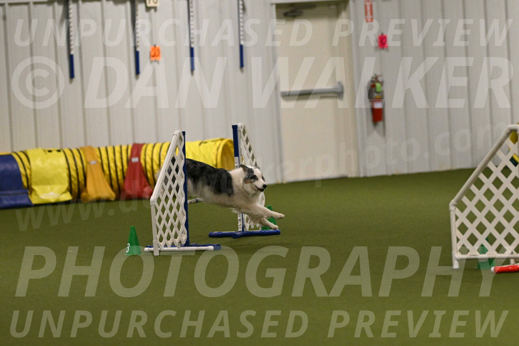 Sunny-Claudia-Brydon-09324