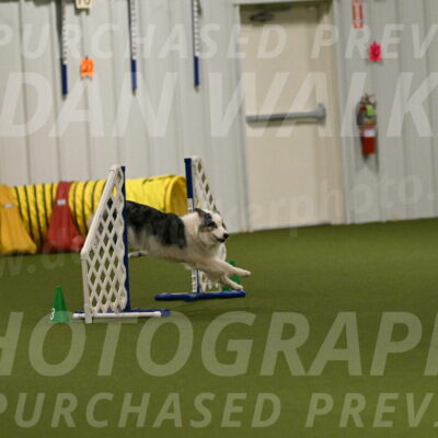 Sunny-Claudia-Brydon-09324