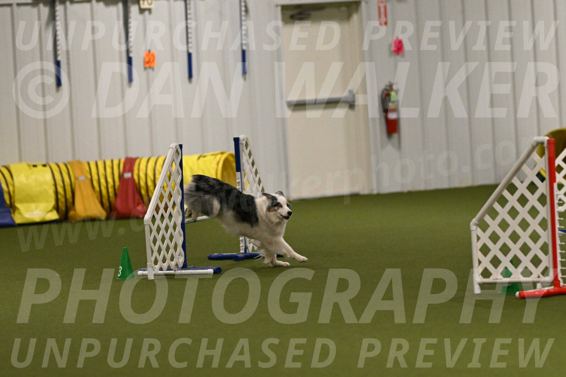 Sunny-Claudia-Brydon-09325