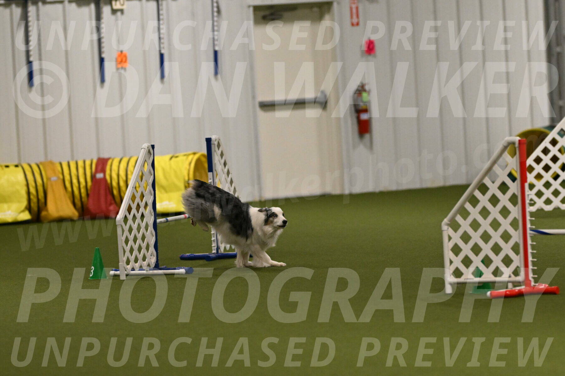 Sunny-Claudia-Brydon-09326