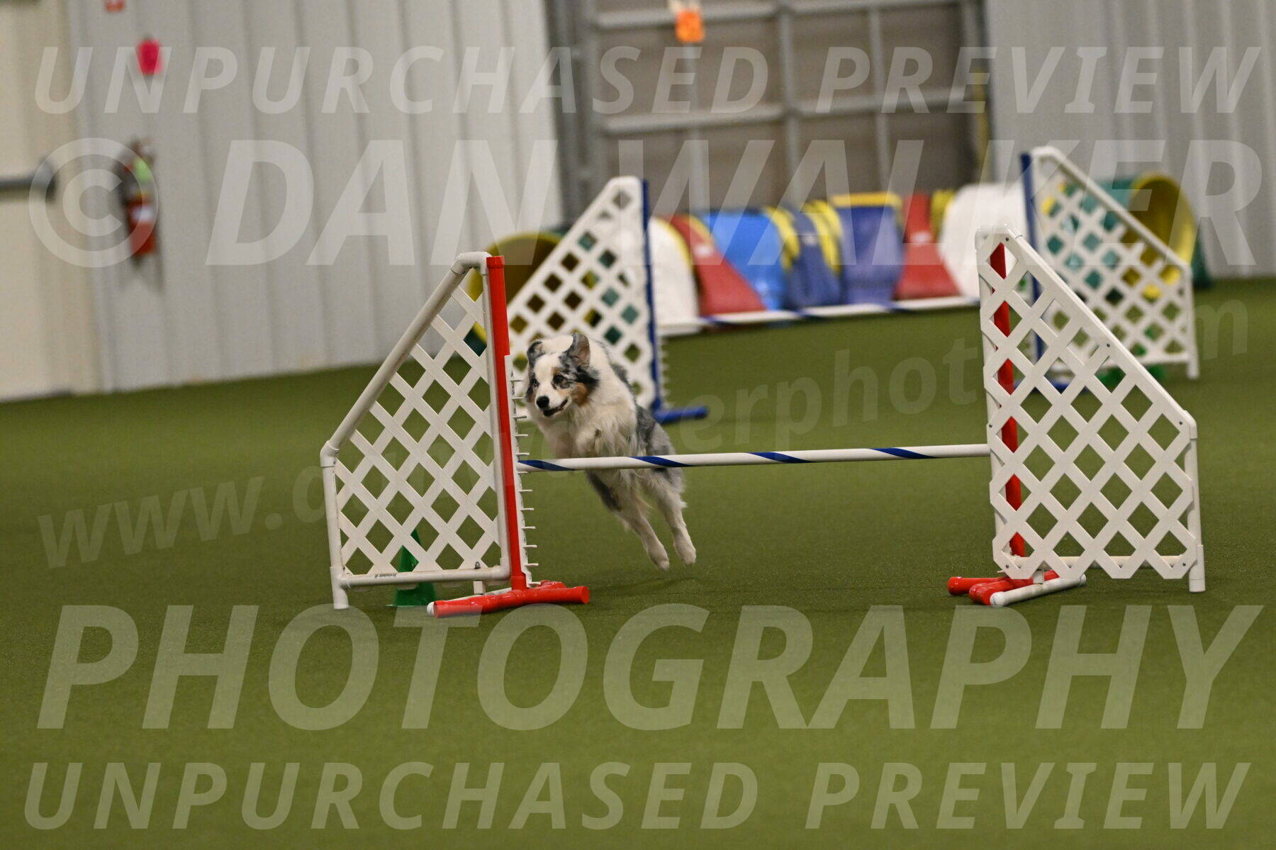 Sunny-Claudia-Brydon-09327