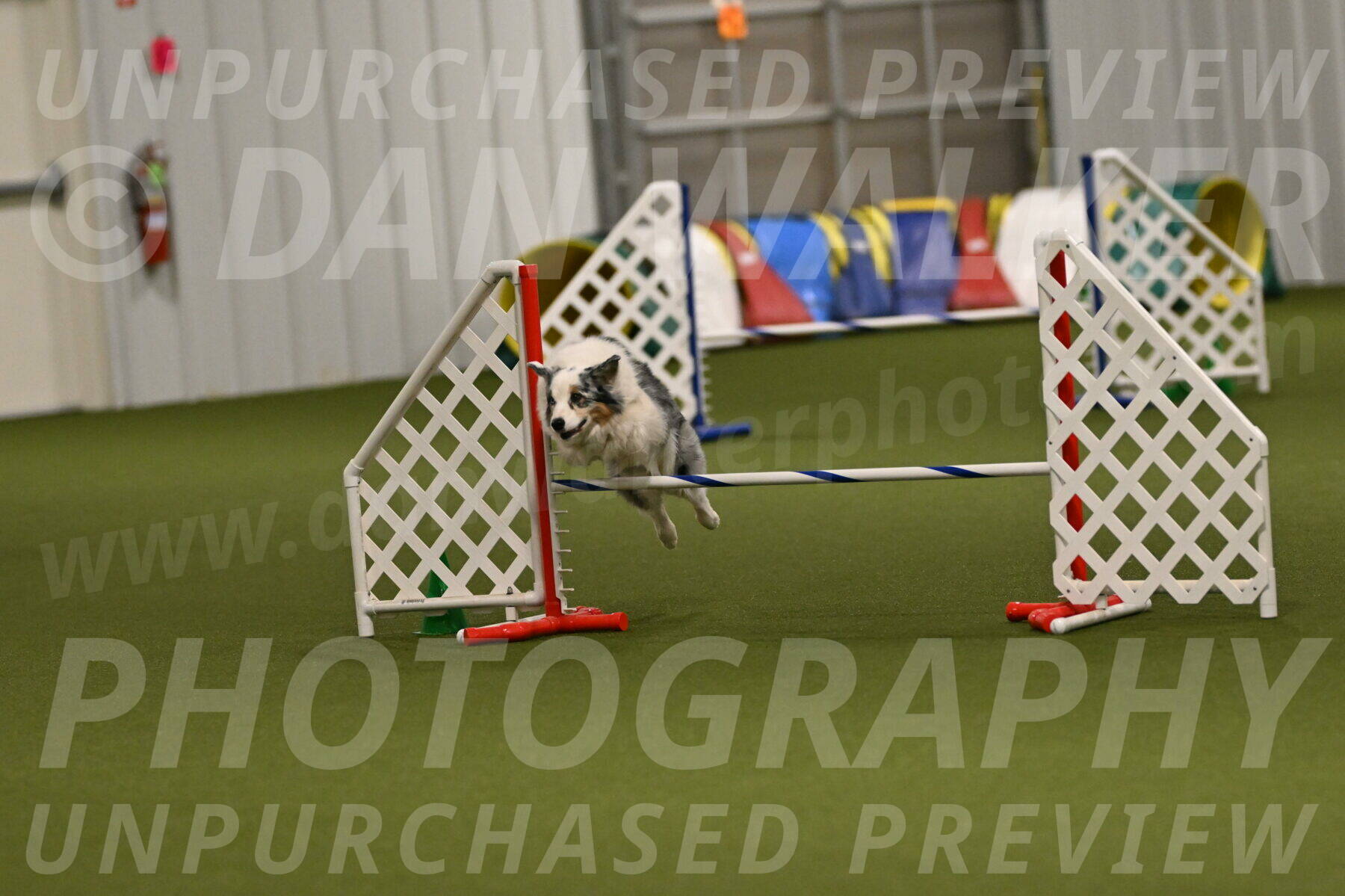 Sunny-Claudia-Brydon-09328