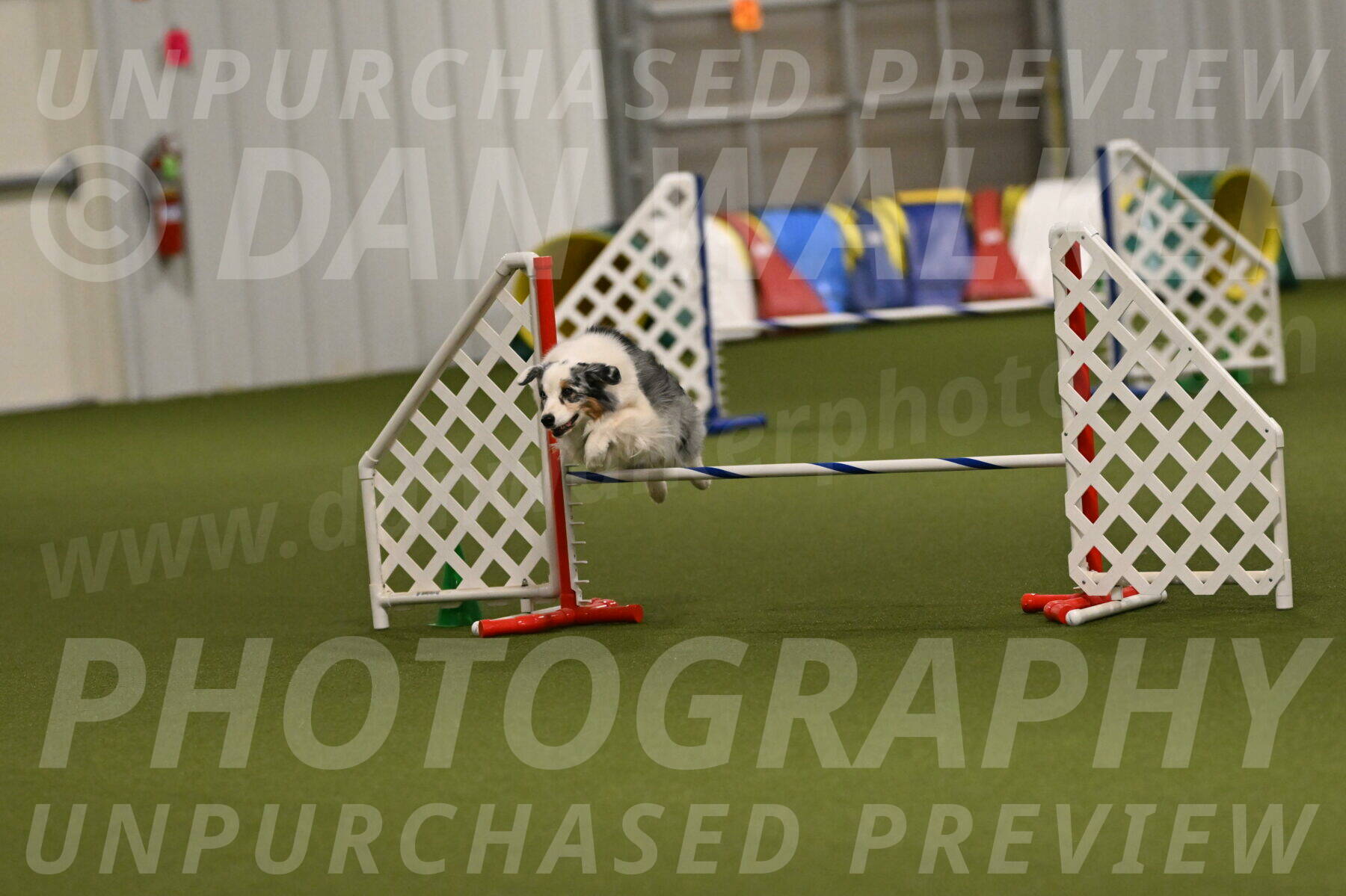 Sunny-Claudia-Brydon-09329