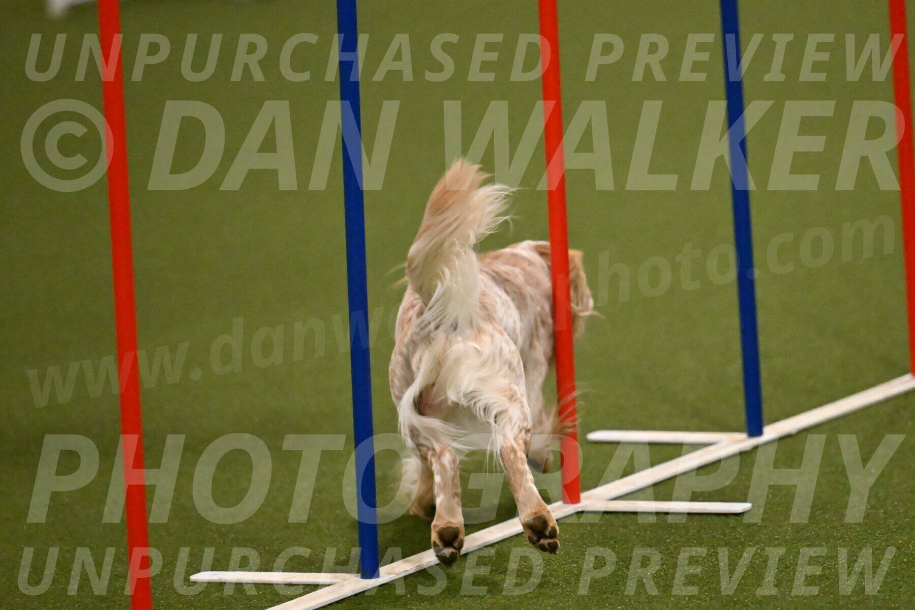 Swing-Lisa-Lombard-01362