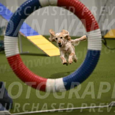 Swing-Lisa-Lombard-01363