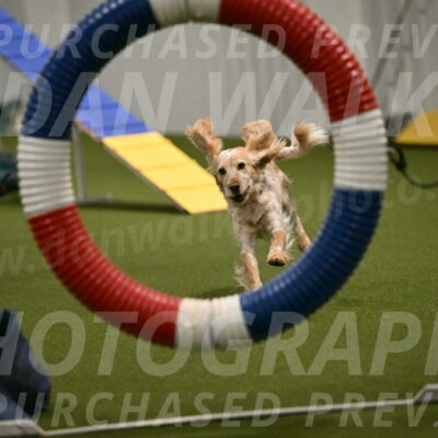 Swing-Lisa-Lombard-01364