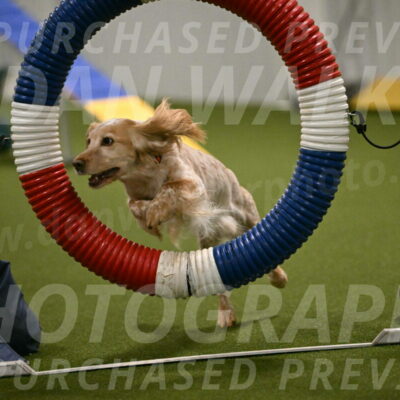 Swing-Lisa-Lombard-01365
